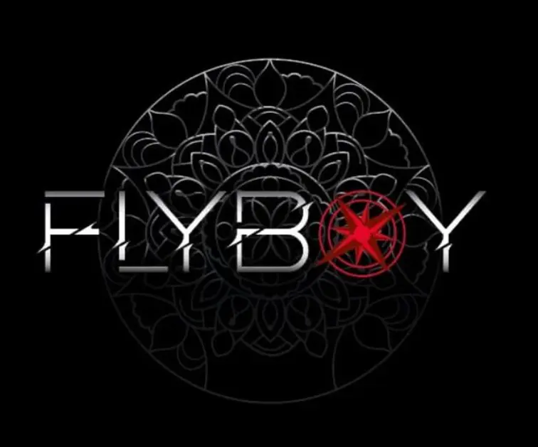 FlyBoy